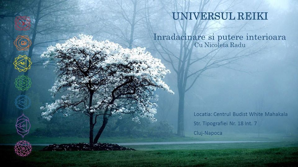 Universul Reiki: Inradacinare si putere interioara