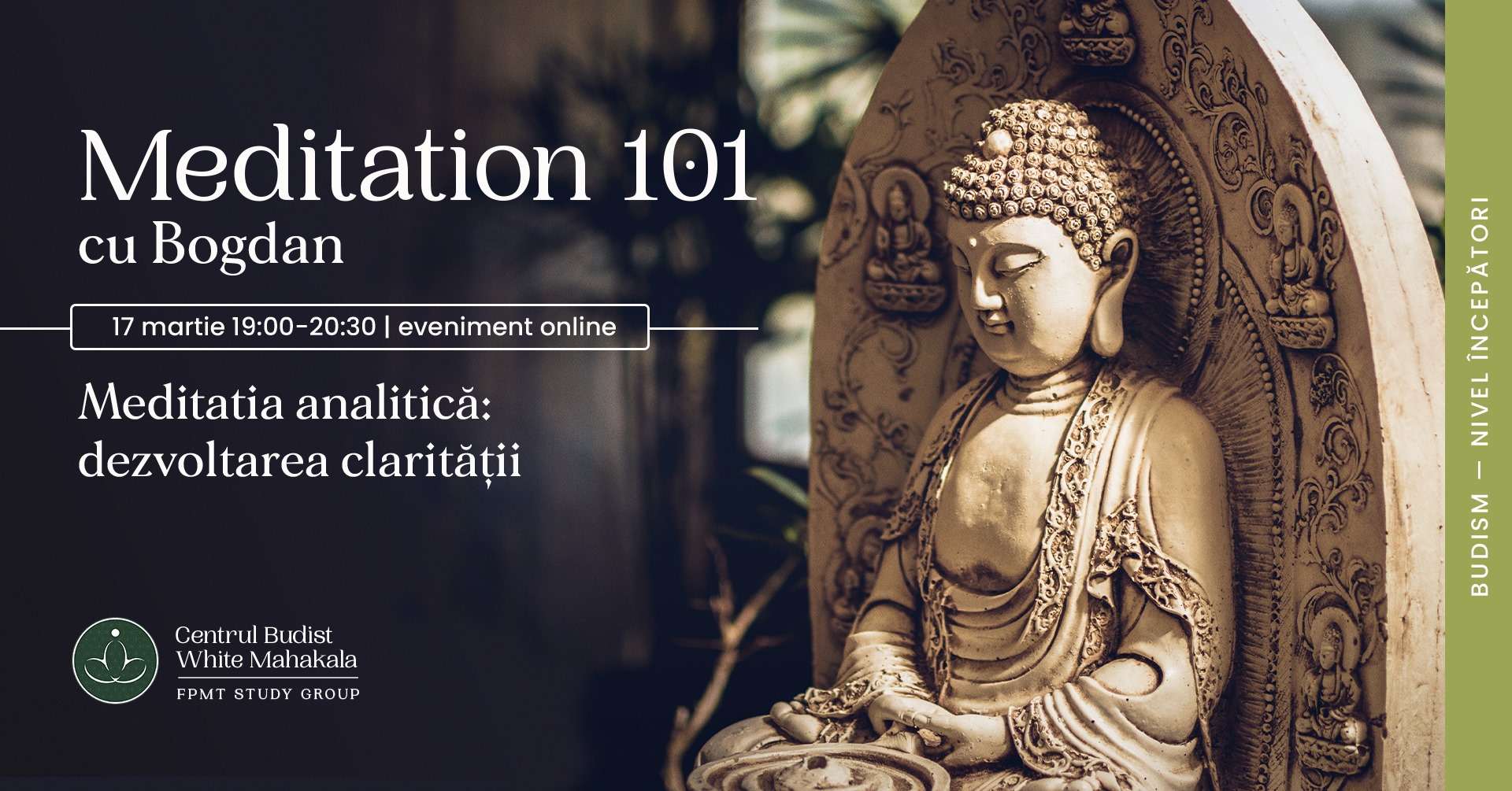 MEDITATION 101- Meditatia analitica: dezvoltarea claritatii